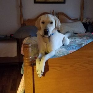 Meet your Posher, Sheila